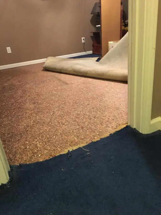Carpet pad removal revealing water damage during Water Mitigation Services in West St. Paul