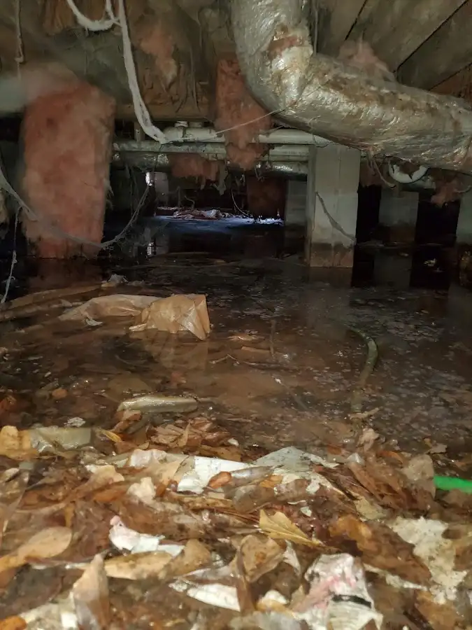 Crawl space flood assessment for Commercial Water Damage Restoration in West St. Paul